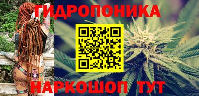 бошки Заводоуковск