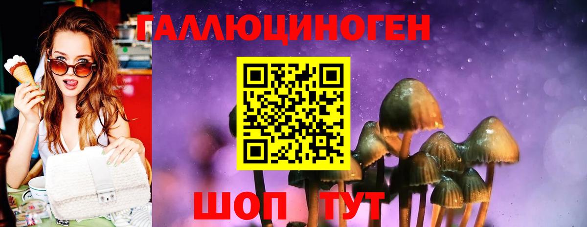 Псилоцибиновые грибы GOLDEN TEACHER  Галлюциногенные грибы Magic Shrooms  Малгобек  Вход с VPN 